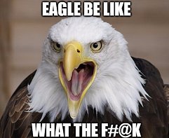 Eagle be like WTF cropped